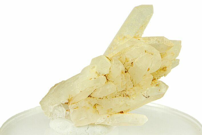 Quartz Crystal Cluster - Spruce Ridge, Washington #301260